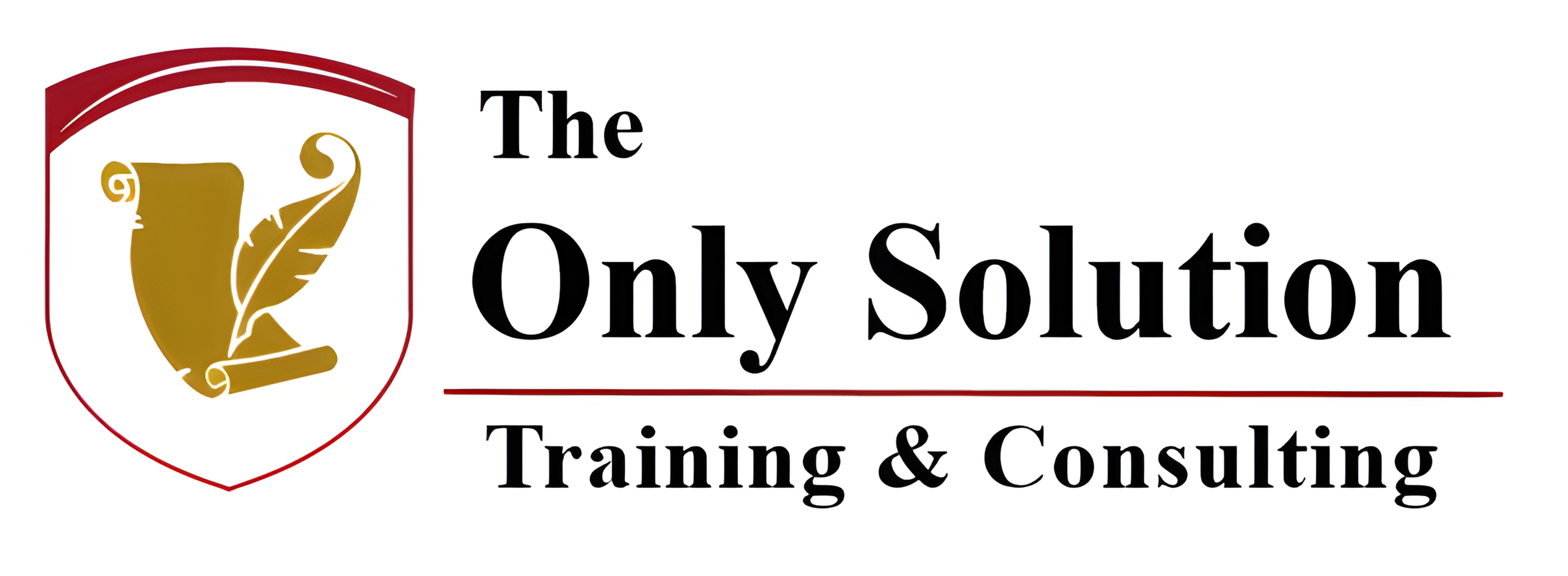 معهد الحل الوحيد للتدريب والاستشارات